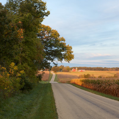 Row Crops along Hay Road 