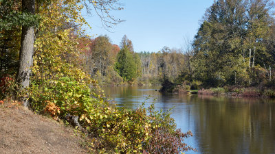 Manistee River 