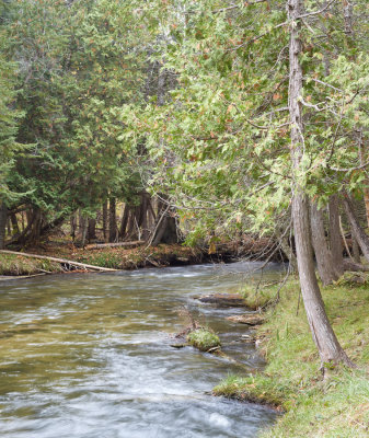 Jordan River at Grave's Crossing 