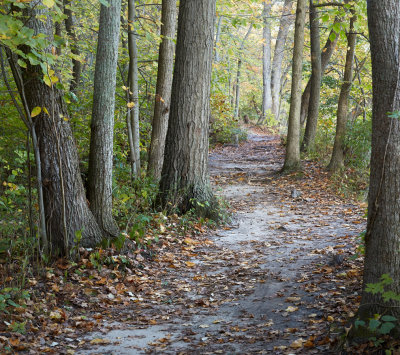 River Trail 