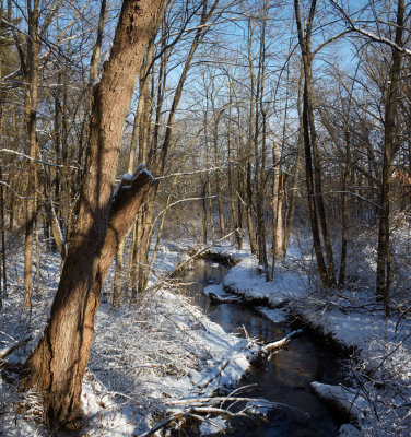 Little Stream in the Woods, December