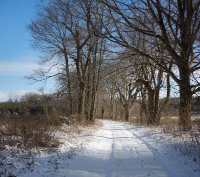 Field Road with Snow 