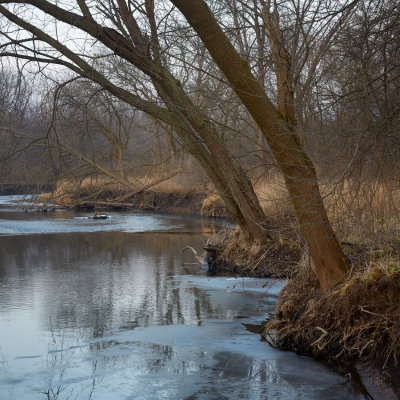 Warm Spell along the Kish 