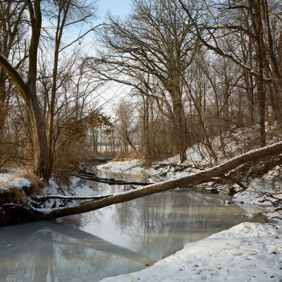 Owens Creek in January 