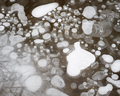 Bubbles in Ice 