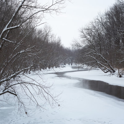 The Kish from Russell Woods Bridge 