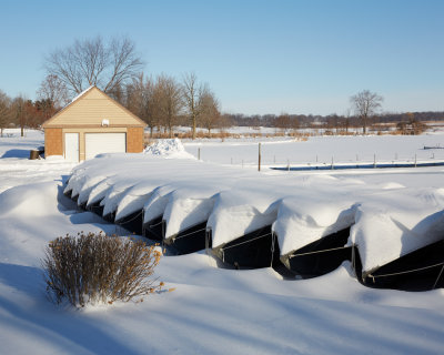 Rental Boats at Shabbona Lake 