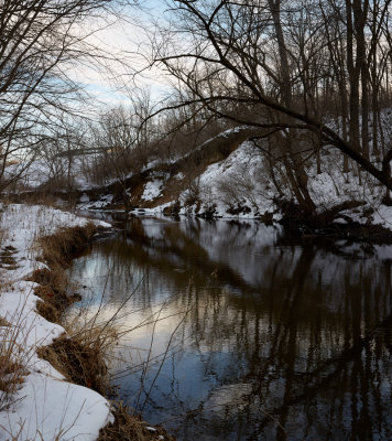 Banks of Somonauk Creek