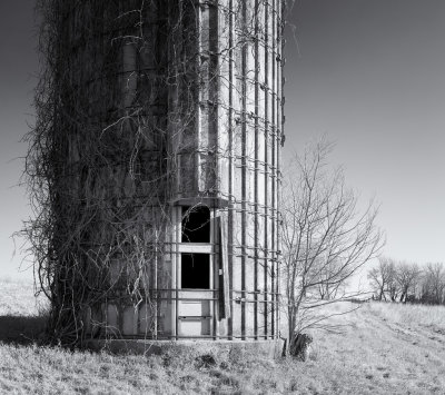 Vine-covered Silo 