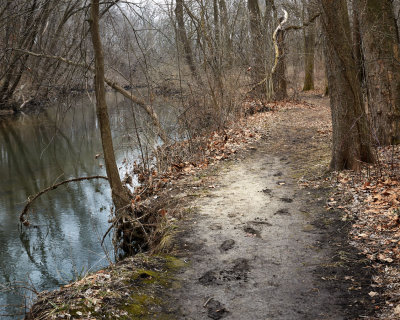 Muddy Path 