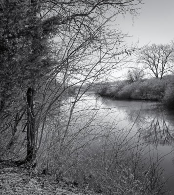 Canal Backwater 