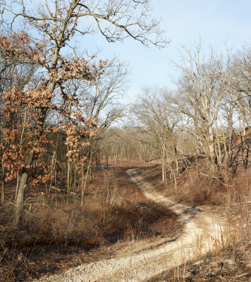 Road to Tellabs Savanna