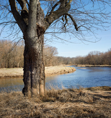 North Branch of the Kish 