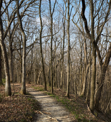 Vermilion River Bluff Trail