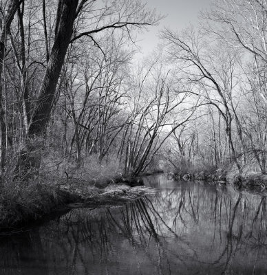 Spring Morning at Somonauk Creek 