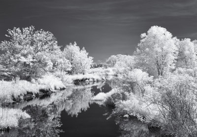 Little Rock Creek in Infrared 