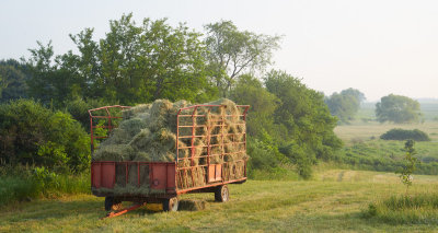 Wagon of Hay on a Hazy Day 