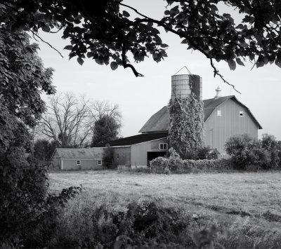 Barn and Hay Field 