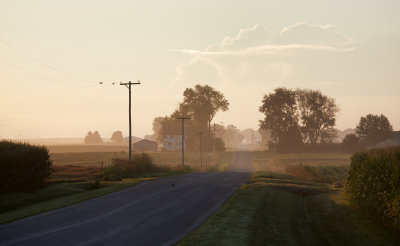 Morning Mist at Aldrich Road 