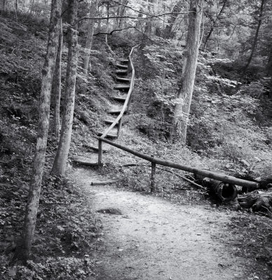 Trail at Franklin Creek 