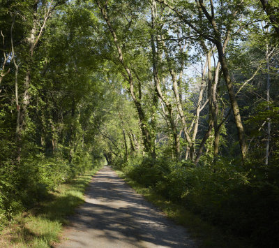 Towpath Road 