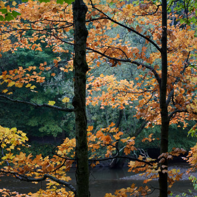 October Abstract
