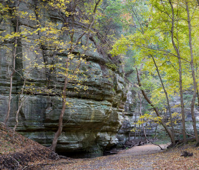 Canyon Wall in Autumn 