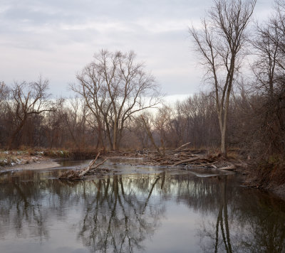 Logjam at Dawn 