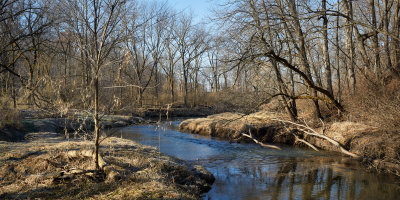Franklin Creek, Downstream 