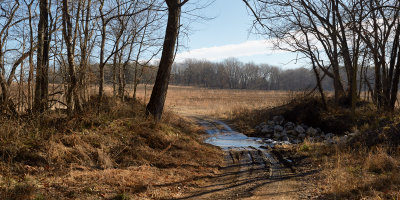 Cuckoo Creek Crossing 