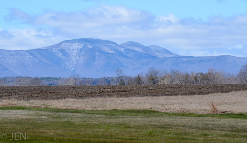 DSC_7662LR PF.jpg