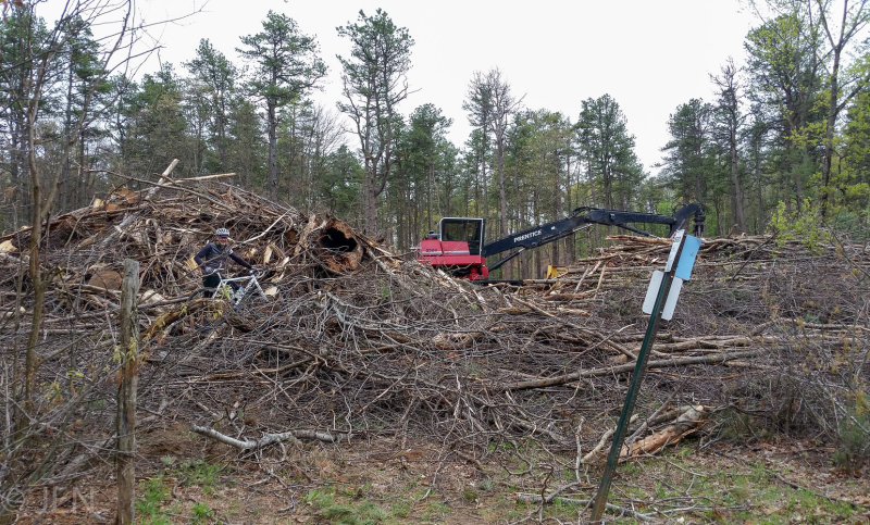 20170507_123629LR PF.jpg