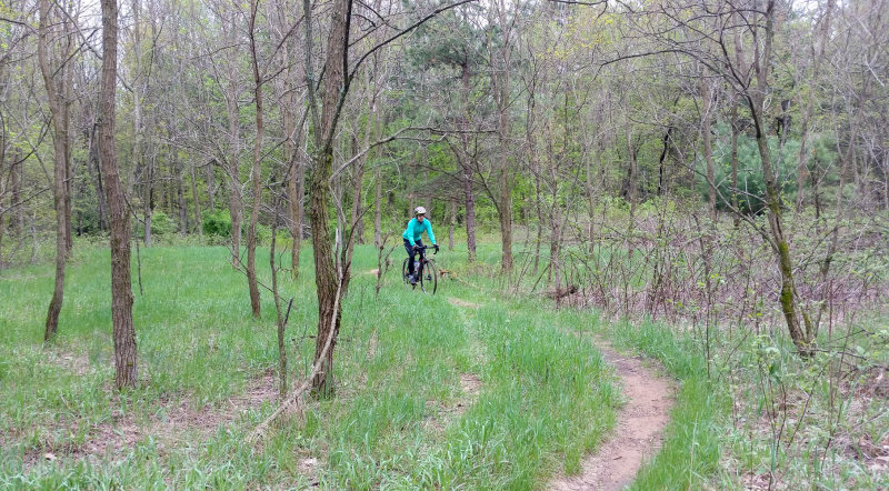 20170507_130309LR PF.jpg