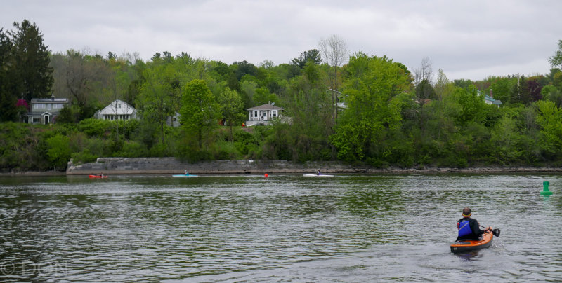 P1150942LR PF.jpg