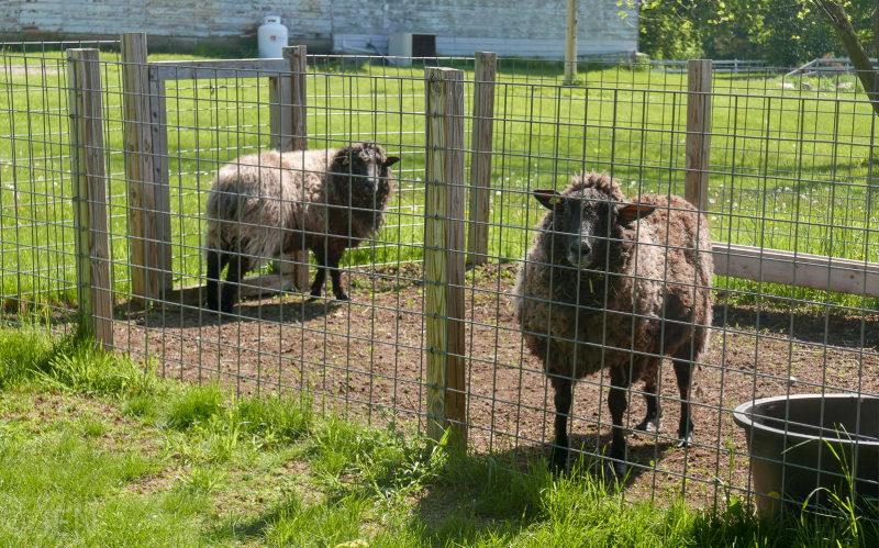 P1160051LR PF.jpg