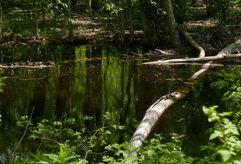 P1160070LR PF.jpg