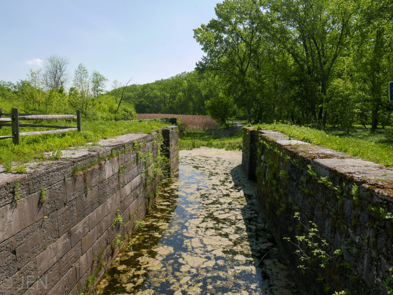 P1160079LR PF.jpg