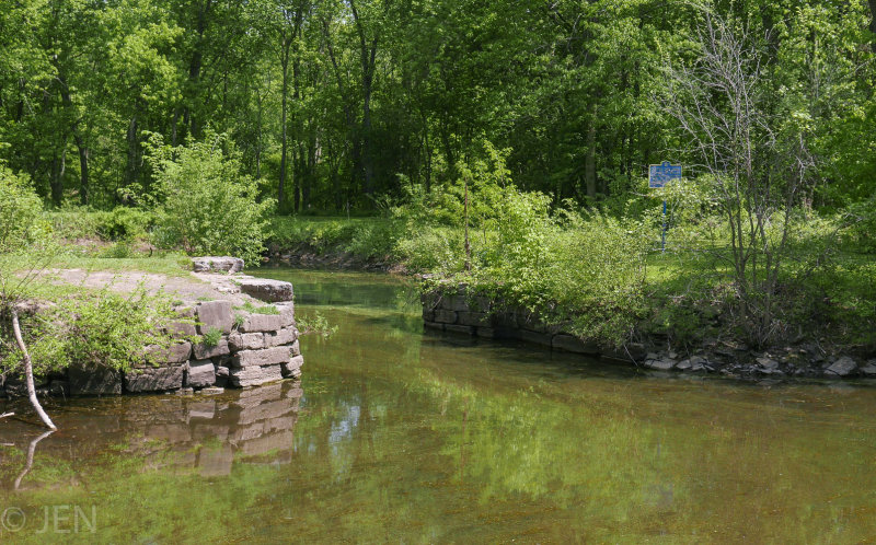 P1160100LR PF.jpg