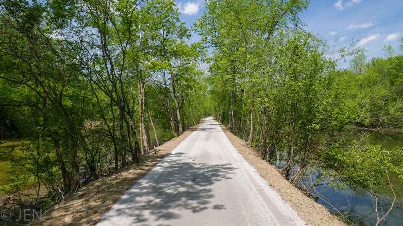P1160105LR PF.jpg