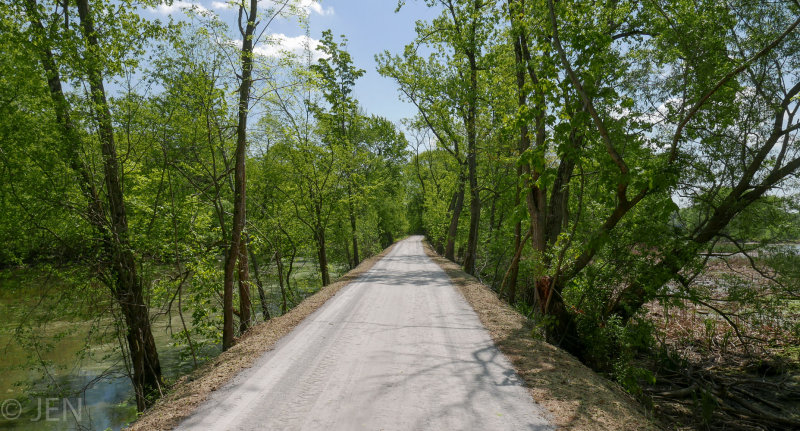 P1160108LR PF.jpg