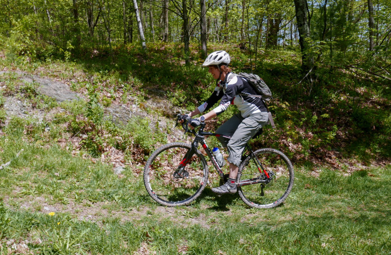 P1160220LR PF.jpg