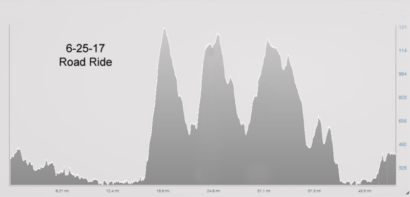 6-25-17 elevation.jpg