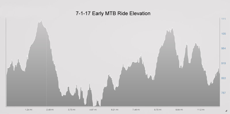 7-1-17 Early mtb elevation.jpg