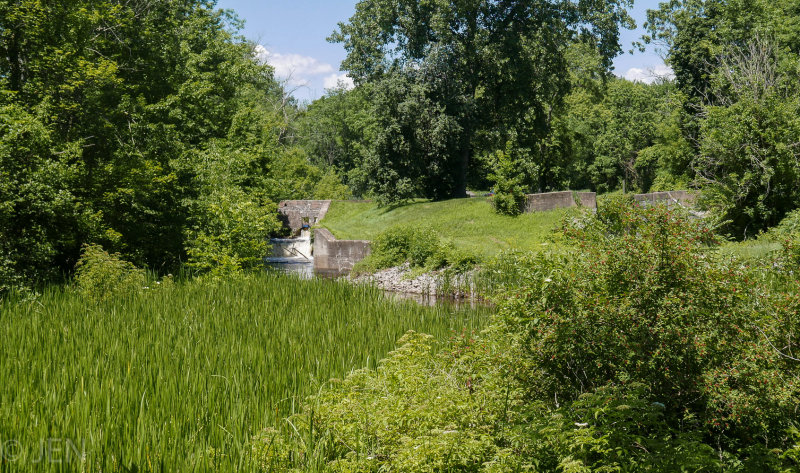 P1170595LR PF.jpg