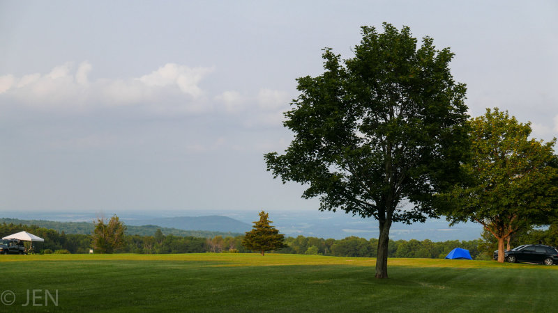 P1170851LR PF.jpg