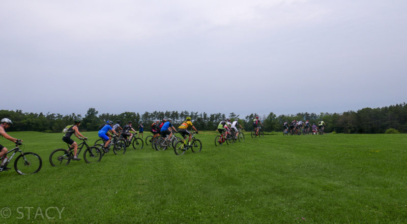 P1170875LR PF.jpg