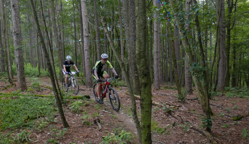 P1170919LR PF.jpg