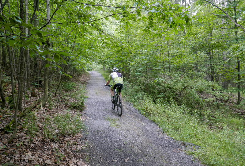 P1170952LR PF.jpg