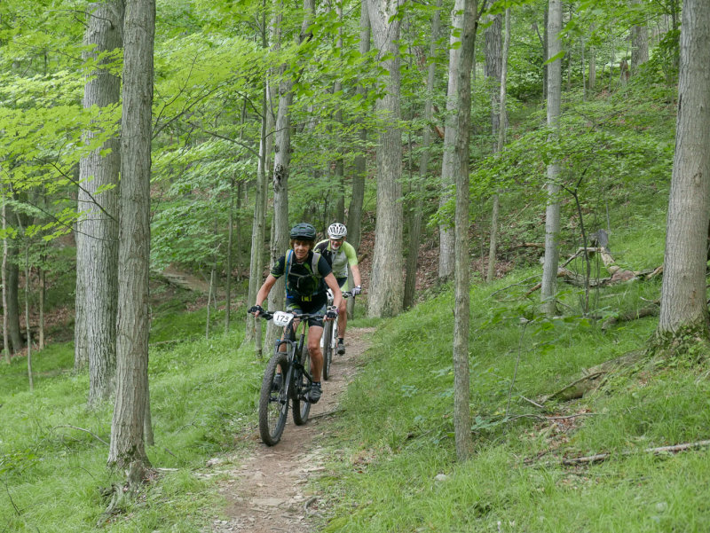 P1170981LR PF.jpg