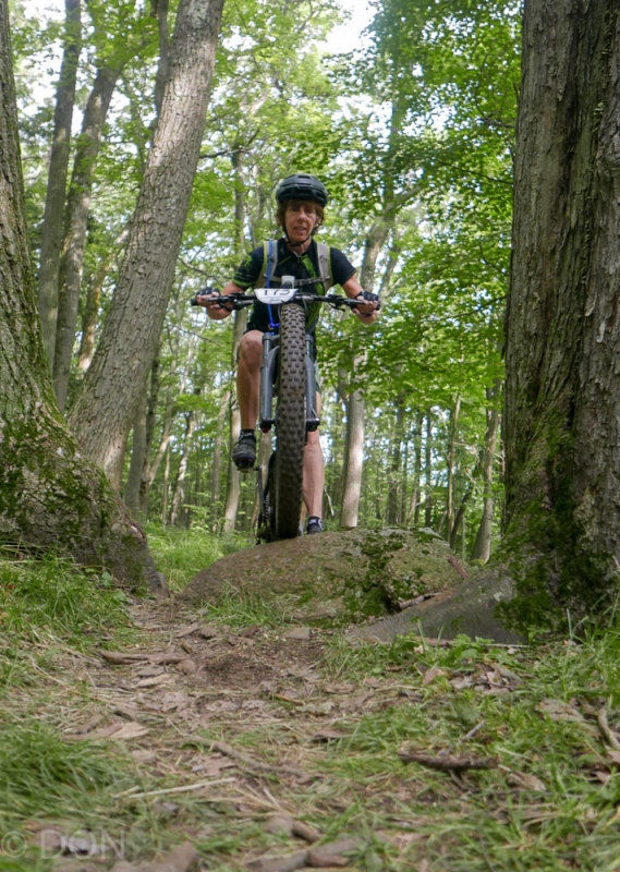 P1180040LR PF.jpg